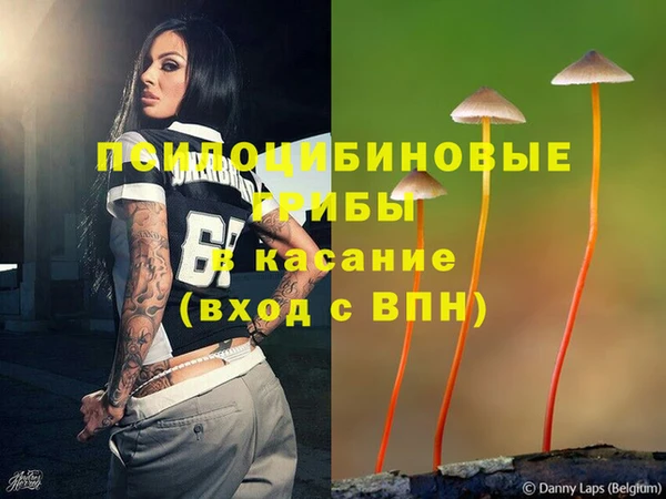 трава Абдулино