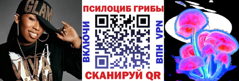 мега как зайти  Пудож  Галлюциногенные грибы Psilocybe 